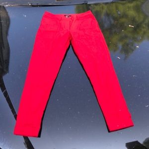 Red taper pant